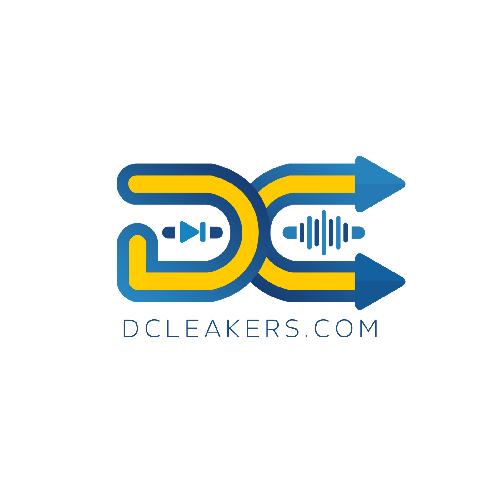 DCLeakers
