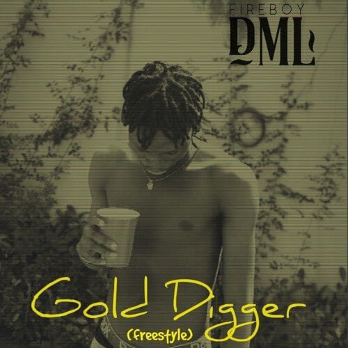 , Fireboy DML – Gold Digger (Freestyle)