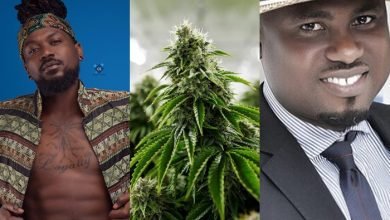 Photo of Samini, John Dumelo, Abeiku Santana, Shatta Wale and others react to the Legalization of Cannabis in Ghana