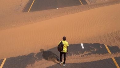 teephlow road to phlow II Photo of TeePhlow – Road to Phlowducation II (Full Album)