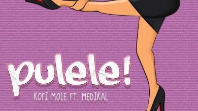 Kofi Pulele cover art - Kofi Mole - Pulele ft. Medikal