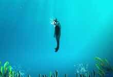 Omah lay understand - Omah lay - Understand