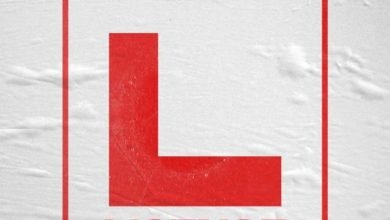 Vector License, Vector – License