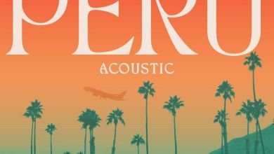 Fireboy DML Peru Acoustic Halmblog.com