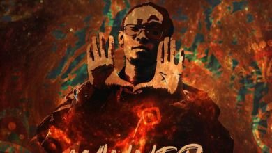 Phronesis Winner, Phronesis – Winner