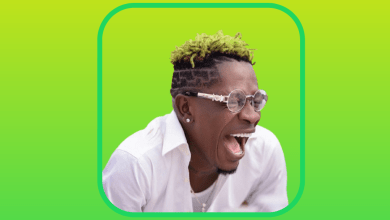 Shatta Wale Landlord, Shatta Wale – Landlord