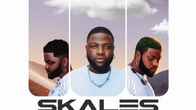 Skales - Selese ft. Zlatan & KrizBeatz, Skales – Selese ft. Zlatan & KrizBeatz