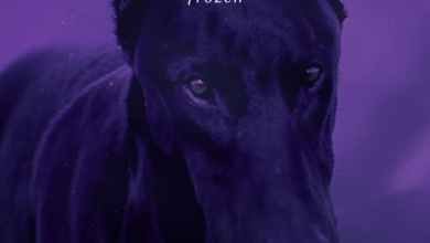 Madonna Frozen Remix Fireboy DML Sickick, Madonna – Frozen (Remix) ft. Fireboy DML & Sickick