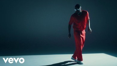 Kizz Daniel The Cavemen Oshe, Kizz Daniel ft. The Cavemen – Oshe (Official Video)