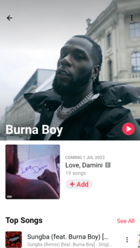 Burna Boy Love Damini, Burna Boy Reveals The Number Of Songs On His Impending ‘Love Damini’ Album
