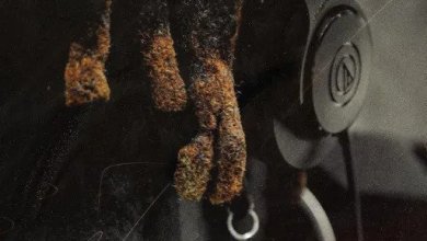 Quamina Mp Attraction, Quamina Mp – Attraction (Pinini)