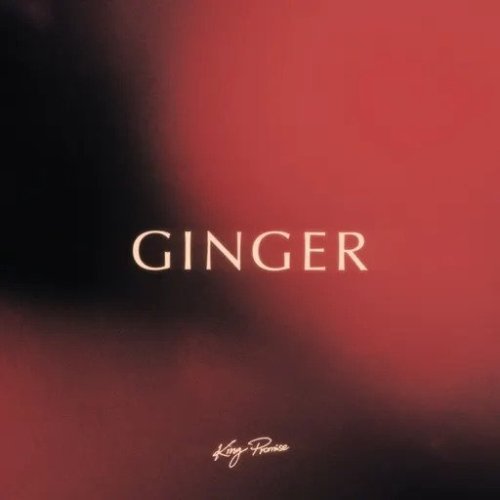 King Promise Ginger, King Promise – Ginger (Prod. by JAE5)