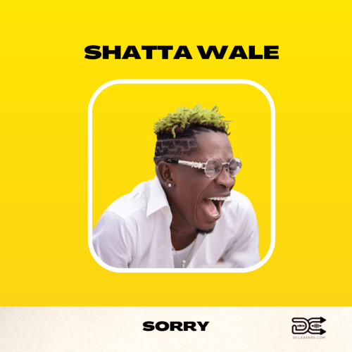 Shatta Wale Sorry, Shatta Wale – Sorry