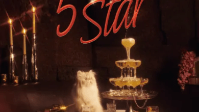 Adekunle Gold 5 Star, Adekunle Gold – 5 Star