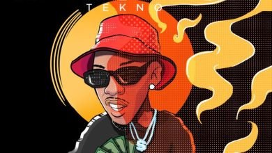 Tekno After Party, Tekno – After Party