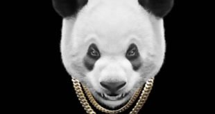Panda Flow