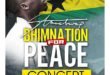 Stonebwoy - BhimNation for Peace Concert
