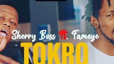 Sherry Boss - Tokro ft Fameye cover Photo of Sherry Boss – Tokro ft. Fameye