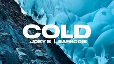 Joey B - Cold ft Sarkodie Joey B Cold Cover Art 390x220 - Joey B - Cold ft Sarkodie