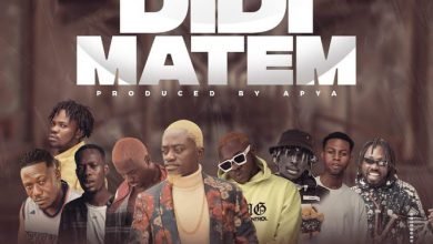 Lilwin - Didi Matem ft Medikal, Kofi Mole, Joey B, Kweku Flick, Kooko, Virus, Tulenkey & Fameye Lilwin Didi Matem cover art 390x220 - Lilwin - Didi Matem ft Medikal, Kofi Mole, Joey B, Kweku Flick, Kooko, Virus, Tulenkey & Fameye