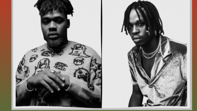 Buju Peru cover 390x220 - Buju - Peru (Fireboy DML Cover)