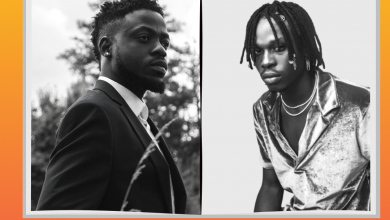 Nektunez Peru cover art 390x220 - Nektunez & Fireboy DML - Peru (Amapiano Remix)